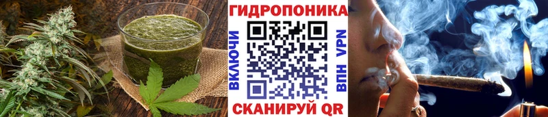 Печенье с ТГК конопля  дарнет шоп  Первомайск 