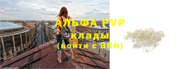 стаф Беломорск