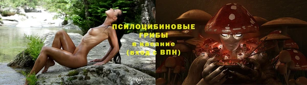 трава Белокуриха
