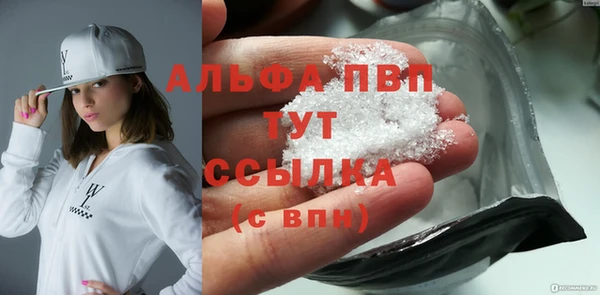 трава Белокуриха