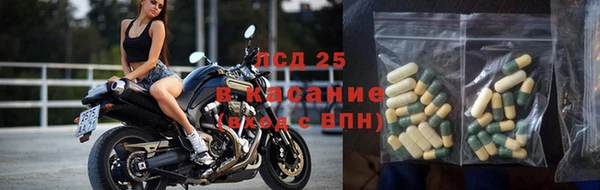 стаф Беломорск