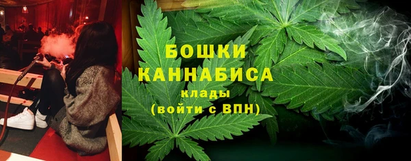 трава Белокуриха