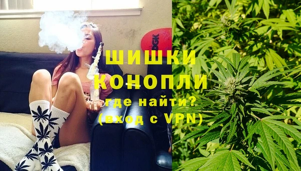 трава Белокуриха