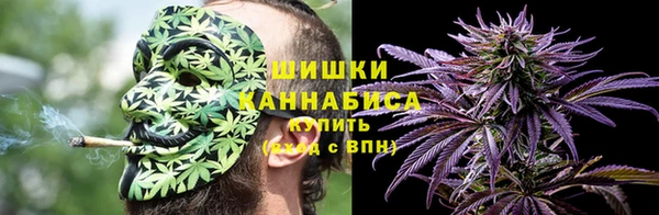 трава Белокуриха