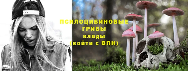 стаф Беломорск