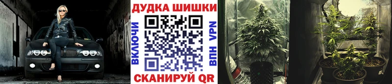 Канабис OG Kush  маркетплейс состав  Первомайск  blacksprut tor 